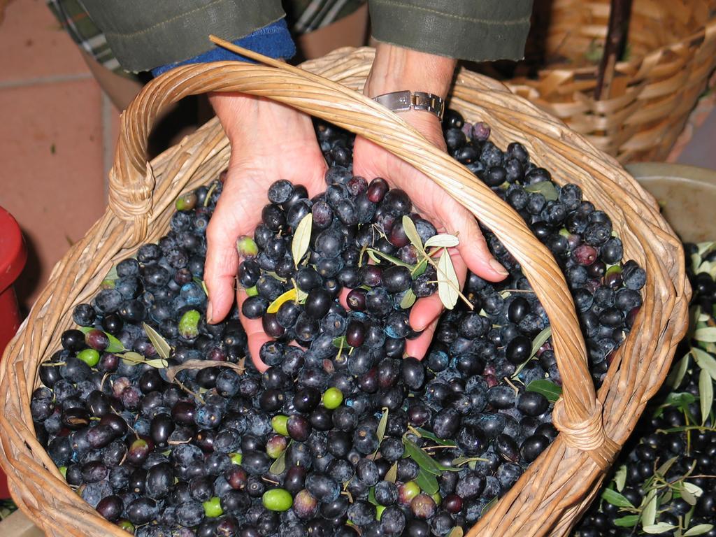 Agriturismo Tenuta Il Vallone Βίλα Monsummano Terme Εξωτερικό φωτογραφία